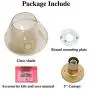 KSANA Gold Semi Flush Mount Ceiling Light for Bedroom, Bathroom, Kitchen, Closet, Dining Room, Hallway, Foyer (8 1/2'' Top-Shaped with Smoky Glass Shade)
