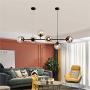 Modo Lighting Modern Ceiling Pendant Lighting Adjustable Chandelier 6-Light Lamp Globe Glass Hanging Light Fixture for Living Room Dining Room Bedroom Modo Lighting Modern Ceiling Pendant Lighting Adjustable Chandelier 6-Light Lamp Globe Glass Hanging Light Fixture for Living Room Dining Room Bedroom
