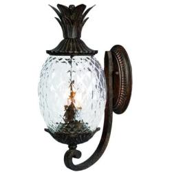 Acclaim 7501BC Lanai Collection 2-Light Wall Mount Outdoor Light Fixture, Black Coral