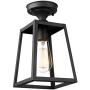 Emliviar 1-Light Ceiling Light Fixture, Semi-Flush Mount Light in Black Finish, 1803AW2-F1 BK
