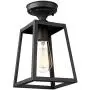 Emliviar 1-Light Ceiling Light Fixture, Semi-Flush Mount Light in Black Finish, 1803AW2-F1 BK