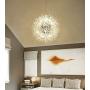 LITFAD Crystal Pendant Light Anti-Glare LED Dandelion Chandelier Modern Style Ceiling Hanging Light in Chrome for Dining Room Reception Cafe Clothes Stores - 19.5'' Wide