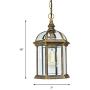 LITFAD Gold Lantern Ceiling Hanging Light with Clear Glass Shade 1 Bulb 8'' L Vintage Outdoor Waterproof Lighting Industrial Pendant Light for Dining Room Restaurant Bar Courtyard
