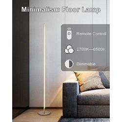 TACAHE Minimalism Floor Lamp Dimmable LED 2700K-6500K Modern Floor Lamp 57'' Tall Standing Lamp with Remote Controller Metal Floor Lamps for Living Room, Bed Room 20W - Gold