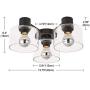 TeHenoo 3-Light Semi-Flush Mount Ceiling Light, Clear Glass Ceiling Light Fixture with Matte Black Finish for Kitchen,Dining Room,Living Room, Bedroom, Cafe, Bar,Entryway TeHenoo 3-Light Semi-Flush Mount Ceiling Light, Clear Glass Ceiling Light Fixture with Matte Black Finish for Kitchen,Dining Room,Living Room, Bedroom, Cafe, Bar,Entryway