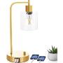 Gold Industrial Table Lamp, Elizabeth Vintage Office Desk Lamp, Dimmable Bedside Reading Lamp, Brass Metal Midcentury Lamp for Bedroom Living Room, 2 USB Charging Ports E26 Edison LED Bulb Glass Shade