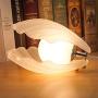 SAMGREEN LED Mood Light Shell Pearl Night Light Lamp for Living Room Bedroom, Table lamp Night Lamp for Home Deco Decoration (Matt)