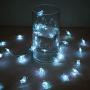 Decorman Sea Turtle Decorative String Lights, 14ft 40 LED 8 Modes Cool White Weatherproof Battery Operated Ocean Theme Lights for Bedrooms Parties Weddings Gardens with Remote and Timer