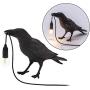Crow Table Lamp, Birds LED Table Lamps Bedroom Resin Crow Desk Lamp Bedside Light Living Room Corridor Contemporary Romantic Modern Lamp Crow Table Lamp, Birds LED Table Lamps Bedroom Resin Crow Desk Lamp Bedside Light Living Room Corridor Contemporary Romantic Modern Lamp