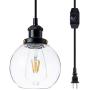 Larootsi Vintage Plug in Wall Lamp Industrial Wall Sconce Light Dimmable with Clear Glass Globe Adjustable Hanging for Indoor Lighting Living Room Dining Room Bedroom Hallway