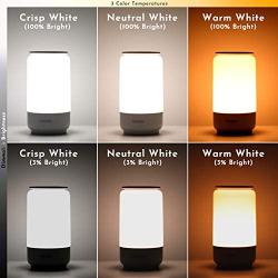 LED Table Lamp, HugoAi Bedside Lamp, Nightstand Lamps for Bedrooms with Dimmable Whites, Vibrant RGB Colors and Memory Function, No Flicker, Grey