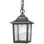 BEEZOK Outdoor Pendant Light - Exterior Hanging Lamp, Matt Black Water Rippled Glass Ceiling Lighting Fixture for Porch Patio Entryway