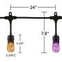 Enbrighten 36134 Seasons 24ft LED Outdoor String, Warm White & Color Changing Edison, Patio, Café,, Shatterproof Light Bulbs, 150 Color Combinations, 24, Black, 24 Ft