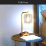 Brightech Elizabeth Office Desk Lamp - Wireless Charging Pad and USB Port – Living Room Table Light for Midcentury, Industrial & Farmhouse Decor - Hanging Glass Shade - LED Bulb - Brass Gold Color