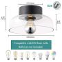 TeHenoo Ceiling Light Fixture with Clear Glass Shade Flush Mount for Dining Room, Bedroom, Cafe, Bar, Corridor, Hallway, Entryway, Passway