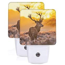 Set of 2 Led Night Lights, Antler Red Deer Morning Sun Auto Dusk-to-Dawn Sensor Night Lamp Plug-in Home Decorative for Adult