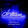 LED Neon Signs,Neon Light for Wall Art, Bedroom Decorations, Home Accessories, Party, and Holiday Decor (Blue, Dream)