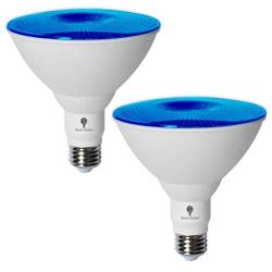 2 Pack BlueX LED Par38 Flood Blue Light Bulb - 18W (120Watt Equivalent) - Dimmable - E26 Base Blue LED Lights, Party Decoration, Porch, Home Lighting, Holiday Lighting, Blue Flood Light