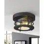 Emliviar 2-Light Round Ceiling Light Fixture, Farmhouse Flush Mount Ceiling Light 11 Inch, Black Finish, WE2085F BK