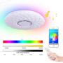 Horevo 24W Ceiling Light with Bluetooth Speaker, Smart APP Control+Romote Dimmable White Warm Light RGB Color Changing,LED Flush Mount Ceiling Light for Living Room Bedroom Kids Room Lights