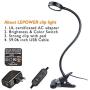 LEPOWER Clip on Light/Reading Light/Light Color Changeable/Night Light Clip on for Desk, Bed Headboard and Computers (Black)