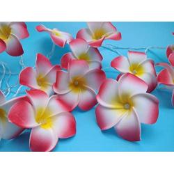 Fantasee 20 LED Pink Plumeria String Lights, Foam Artificial Plumeria Flower Lights Battery Operated Fairy Lights for Bedroom Home Wedding Hawaiian Luau Party Decor