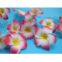 Fantasee 20 LED Pink Plumeria String Lights, Foam Artificial Plumeria Flower Lights Battery Operated Fairy Lights for Bedroom Home Wedding Hawaiian Luau Party Decor