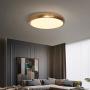 Dimmable Ceiling Light Fixture LED with Remote Control, 15 Inch Gold Ceiling Lights, 24W Modern Flush Mount Ceiling Light for Living Room Bedroom Ceiling Lamp for Island Dinning Room Office