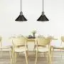 DEWENWILS Pendant Light Plug in, Indoor Ceiling Light for Kitchen Living Room, Bedroom, Dinning Hall, 2 Pack Plug in Hanging Light, 15FT Adjustable Cord with On/Off Switch