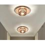 Modern Crystal Ceiling Light Flush Mount Pendant Lamp Fixture Lighting Chandelier