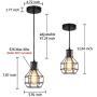 SHUNG YU Industrial Cage Pendant Light, Vintage Metal Ceiling Lamp Rustic Hanging Wire Cage Mini Light Fixture for Office Dining Room Living Room Kitchen Island Restaurant(Bulb not Included)