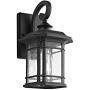 Safavieh PLT4010A Lighting Lolia Black Wall (LED Bulb Included) Outdoor Lantern