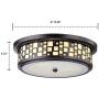 YOBO Lighting 2-Light Resin Flush-Mount Ceiling Lights, Oil Rubbed Bronze Finish on Steel with Frosted Glass