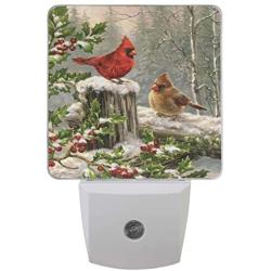 Vdsrup Winter Cardinal Birds Night Light Set of 2 Holly Berry Branches Snow Plug-in LED Nightlights Christmas Decorations Auto Dusk-to-Dawn Sensor Lamp for Bedroom Bathroom Kitchen Hallway Stairs