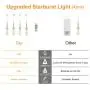 CP3 4Pcs Firework Lights 120 LED Copper Wire Starburst Lights Christmas Lights, 8 Modes Fairy Lights with Remote, USB Power String Lights for Bedroom Party Indoor Outdoor Decoration(Blue+White)