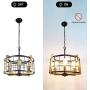 Bizinlumin Luxury Round Gold Pendant Lighting, Modern Black Dining Room Chandelier Light Fixture Industrial Metal Cage Living Room Entry Bedroom Drum Light 4 Lights Edison E26 BY19002G