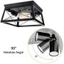 Industrial Ceiling Light - Farmhouse Light Fixtures Flush Mount Ceiling Lights Black 2-Light Metal Cage Shade for Kitchen Island Dining Room Foyer Hallway