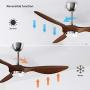 reiga 52-in Ceiling Fan with LED Light Kit Remote Control Modern Blades Noiseless Reversible Motor，6-speed, 3 color Temperature Switch (hand-painted)