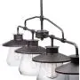 Globe Electric 65382 Nate 4-Light Pendant, Oil Rubbed Bronze, Clear Glass Shades