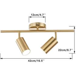 BOKT Flush Mount Ceiling Light 2 Heads Golden Track Lighting Fixture Modern Adjustable Ceiling Spotlight for Bedroom Living Room (2 Lights)