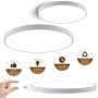 15.75in LED Flush Mount Ceiling Fixture - Round 30W (200W Equivalent) LED Ceiling Light Fixture,2000lm,6500K Bright White