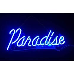 Neon Signs Blue Paradise Beer Bar Bedroom Neon Light Handmade Glass Neon Lights Sign for Bedroom Office Hotel Pub Cafe Recreation Room Wall Decor Night Light(14''x6'')