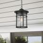 Emliviar Outdoor Hanging Lantern Light Fixture, 1-Light Exterior Pendant Porch Light in Black Finish with Crackle Glass, A208511D1