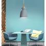 LAKIQ Modern Mini Colorful Pendant Light Nordic Lovely Hanging Ceiling Lighting Kitchen Island Lights for Dining Room Restaurant Bar Living Room (Grey) LAKIQ Modern Mini Colorful Pendant Light Nordic Lovely Hanging Ceiling Lighting Kitchen Island Lights for Dining Room Restaurant Bar Living Room (Grey)