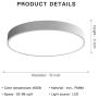 NEWSEELED Ceiling Light Modern Lighting Fixture Flush Mount(12 Inch，4500k，Nature Light，Round),Lighting for Living Room Bedroom Bathroom Dining Room Kitchen Office Hallway Stairwell