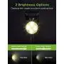 InnoGear Solar Lights Outdoor, Upgraded Waterproof Solar Powered Landscape Spotlights 2-in-1 Wall Light Decorative Lighting Auto On/Off for Pathway Garden Patio Yard Driveway Pool, Pack of 6 (Warm) InnoGear Solar Lights Outdoor, Upgraded Waterproof Solar Powered Landscape Spotlights 2-in-1 Wall Light Decorative Lighting Auto On/Off for Pathway Garden Patio Yard Driveway Pool, Pack of 6 (Warm)
