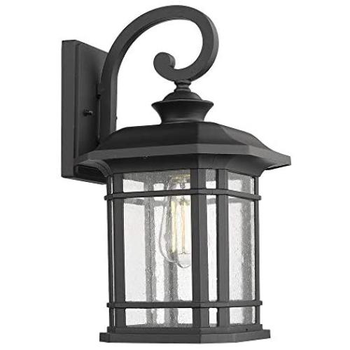 Emliviar Outdoor Wall Lights for House, 1-Light Exterior Wall Sconce Black Finish with Clear Seeded Glass, 17'' Height, 22021M