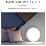 NEWSEE MKL Ceiling Light (Black, 9 Inch)