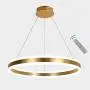 AKEELIGHTING Modern Pendant Lighting,LED Ring Chandelier Gold Kitchen Light Contemporary Hanging Ceiling Light Fixture with Remote Control for Foyer Dining Room