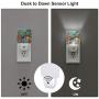 2 PCS Night Light Vintage Floral Night Light Lamp Plug-in LED Nightlights Flower Auto Dusk-to-Dawn Sensor Lamp for Bedroom Bathroom Kitchen Hallway Stairs (Bohemia)